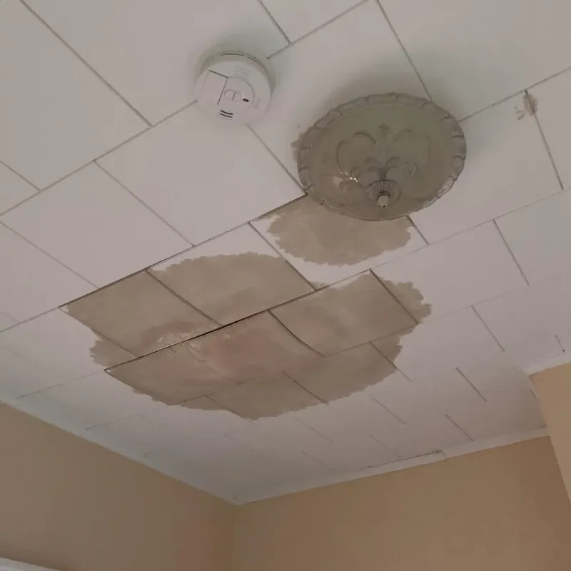 Ceiling Water Damage Repair in Dodson Branch, TN