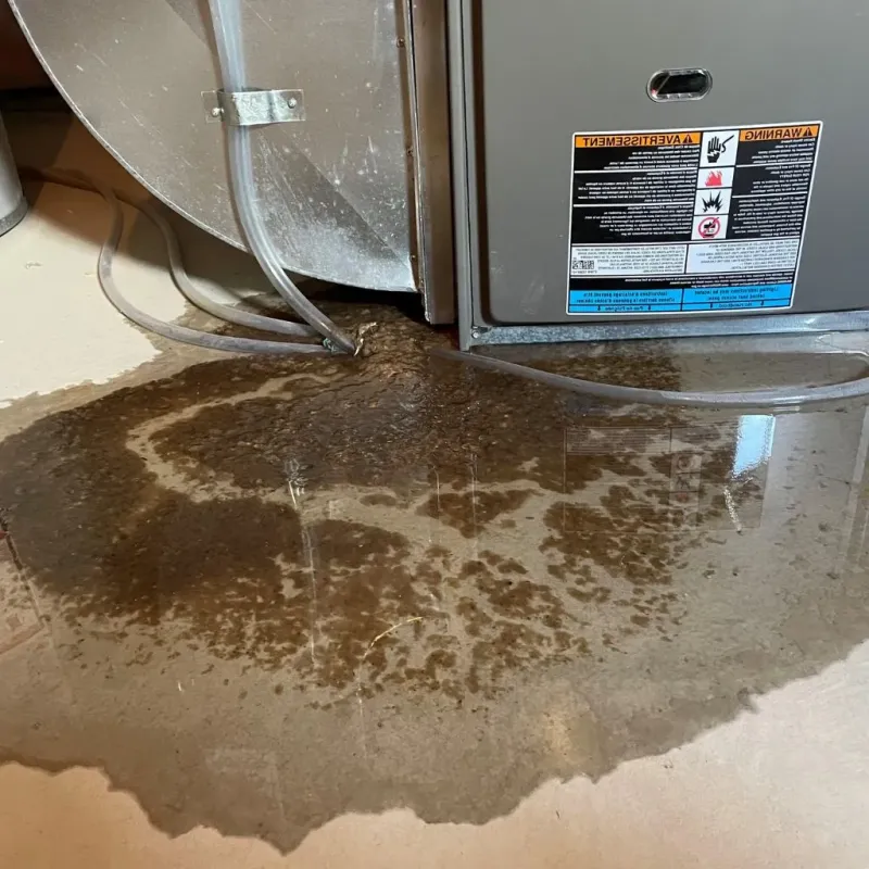 Pipe Burst and Leak Restoration in Dodson Branch, TN