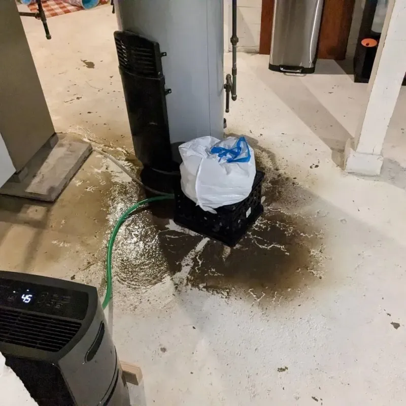 Sewage Backup Cleanup Service in Dodson Branch, TN